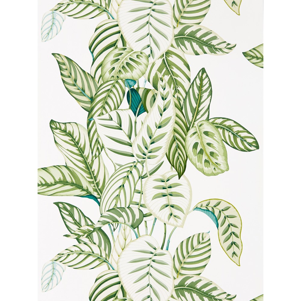 Calathea Wallpaper 216630 by Sanderson in Botanical Green